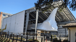 Now covered by shrink wrap, space shuttle Endeavour sits inside the permanently-shuttered Samuel Oschin Pavilion...on January 12, 2024.