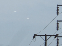 The two F-18 chase planes head back to Edwards Air Force Base after space shuttle Endeavour lands at LAX, on September 21, 2012.