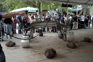 The Scarecrow being displayed to the public.