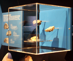 Meteorites on display.