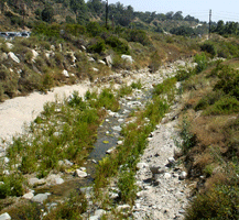 A stream runs near a JPL parking lot.