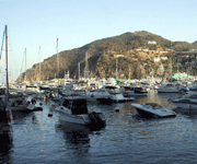 Scores of yachts and fishing boats fill Avalon Bay at Catalina Island, on October 4, 2013.