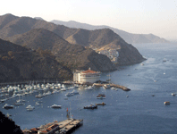 Avalon Bay as seen from a tall hillside, on October 4, 2013.