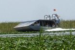 Another airboat passes nearby.