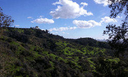 Griffith Observatory as seen from my parking spot down the hill...on January 21, 2017.