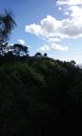 Griffith Observatory as seen from my parking spot down the hill...on January 21, 2017.