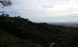 Another shot of Griffith Observatory as I walked down the hill to my car...on January 21, 2017.