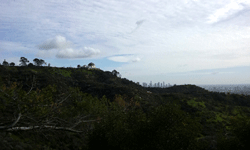 Another shot of Griffith Observatory as I walked down the hill to my car...on January 21, 2017.