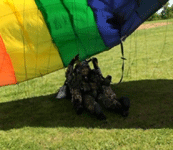 Touchdown at the West Tennessee Skydiving drop zone, on April 29, 2013!