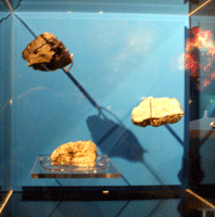Three pieces of meteorite.