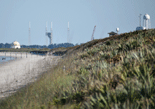 United Launch Alliance's SLC-41 launch pad as seen from Playalinda Beach.