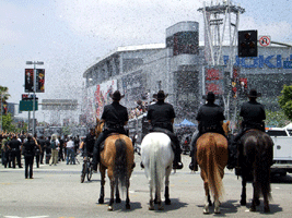 At the Los Angeles Kings' championship parade after they won the 2012 Stanley Cup final.