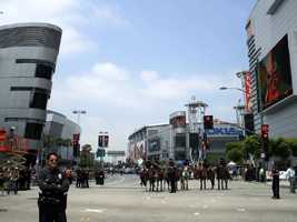 At the Los Angeles Kings' championship parade after they won the 2012 Stanley Cup final.