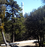 Heading towards the 150-foot solar telescope at Mt. Wilson Observatory...on March 24, 2016.
