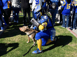 At the Los Angeles Rams' championship parade and rally after they won Super Bowl LVI.