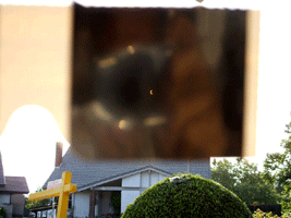 Viewing the annular solar eclipse using special sunglasses courtesy of ASTRONOMY magazine.