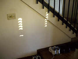 Window shades reflected the annular solar eclipse against a wall in my living room.