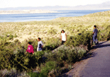 My family walks down a trail leading to Mono Lake