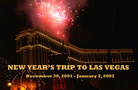 Fireworks mark the New Year in Las Vegas, Nevada.